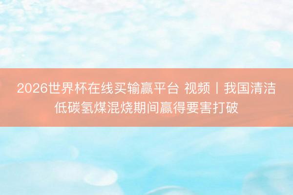 2026世界杯在线买输赢平台 视频丨我国清洁低碳氢煤混烧期间赢得要害打破