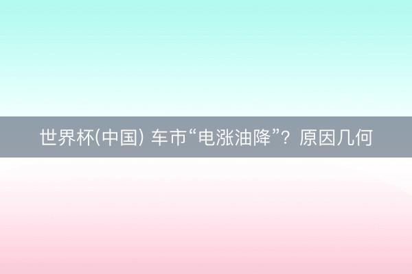 世界杯(中国) 车市“电涨油降”？原因几何