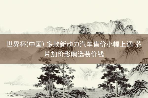 世界杯(中国) 多款新动力汽车售价小幅上调 芯片加价影响选装价钱