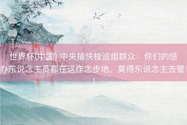 世界杯(中国) 中央捕快梭巡组群众：你们的惩办东说念主员都在这作念步地，莫得东说念主去管！