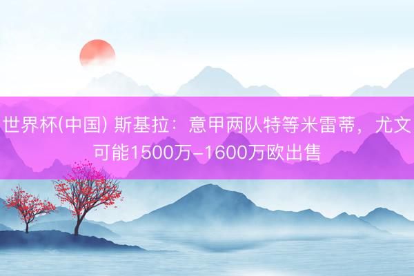 世界杯(中国) 斯基拉:意甲两队特等米雷蒂,尤文可能1500万-1600万欧出售