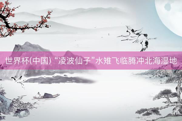 世界杯(中国) “凌波仙子”水雉飞临腾冲北海湿地