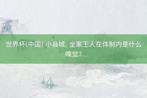 世界杯(中国) 小县城， 全家王人在体制内是什么嗅觉?