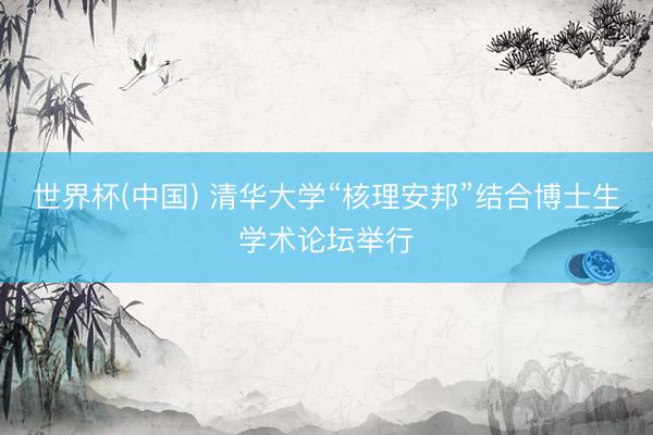 世界杯(中国) 清华大学“核理安邦”结合博士生学术论坛举行