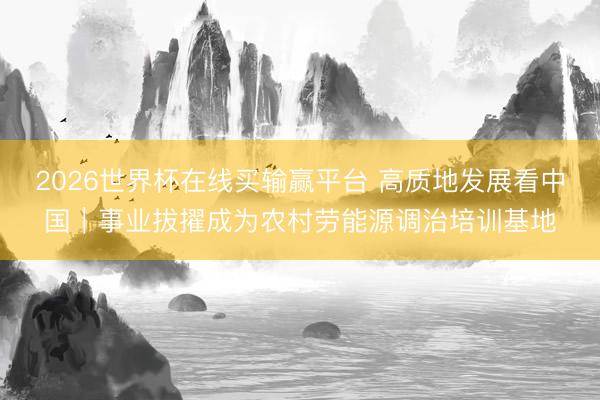 2026世界杯在线买输赢平台 高质地发展看中国｜事业拔擢成为农村劳能源调治培训基地