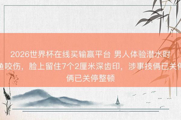 2026世界杯在线买输赢平台 男人体验潜水时被鲨鱼咬伤，脸上留住7个2厘米深齿印，涉事技俩已关停整顿