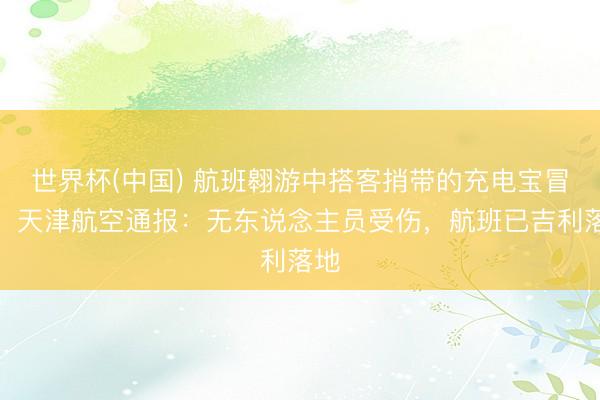 世界杯(中国) 航班翱游中搭客捎带的充电宝冒烟，天津航空通报：无东说念主员受伤，航班已吉利落地