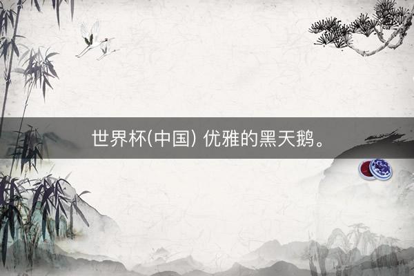 世界杯(中国) 优雅的黑天鹅<a href=